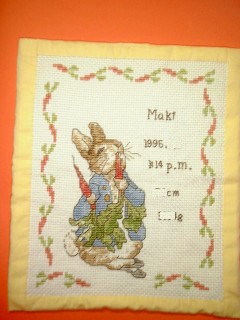 the Peter Rabbit